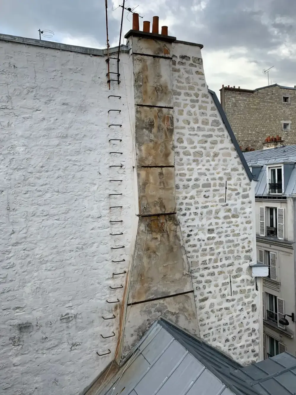 protection-anti-mousse-facade-cormeilles
