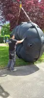 1000049258